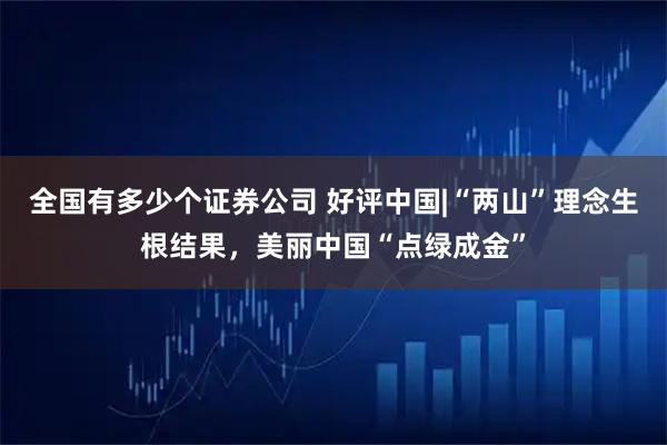 全国有多少个证券公司 好评中国|“两山”理念生根结果，美丽中国“点绿成金”