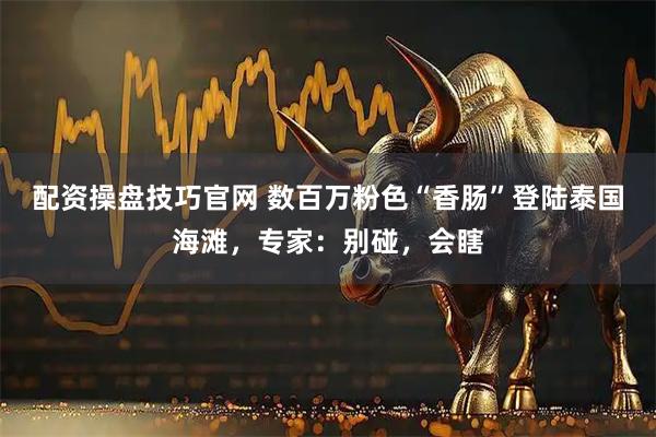 配资操盘技巧官网 数百万粉色“香肠”登陆泰国海滩，专家：别碰，会瞎