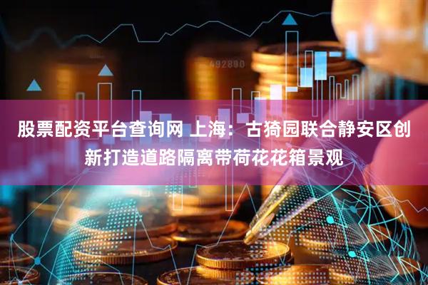 股票配资平台查询网 上海：古猗园联合静安区创新打造道路隔离带荷花花箱景观